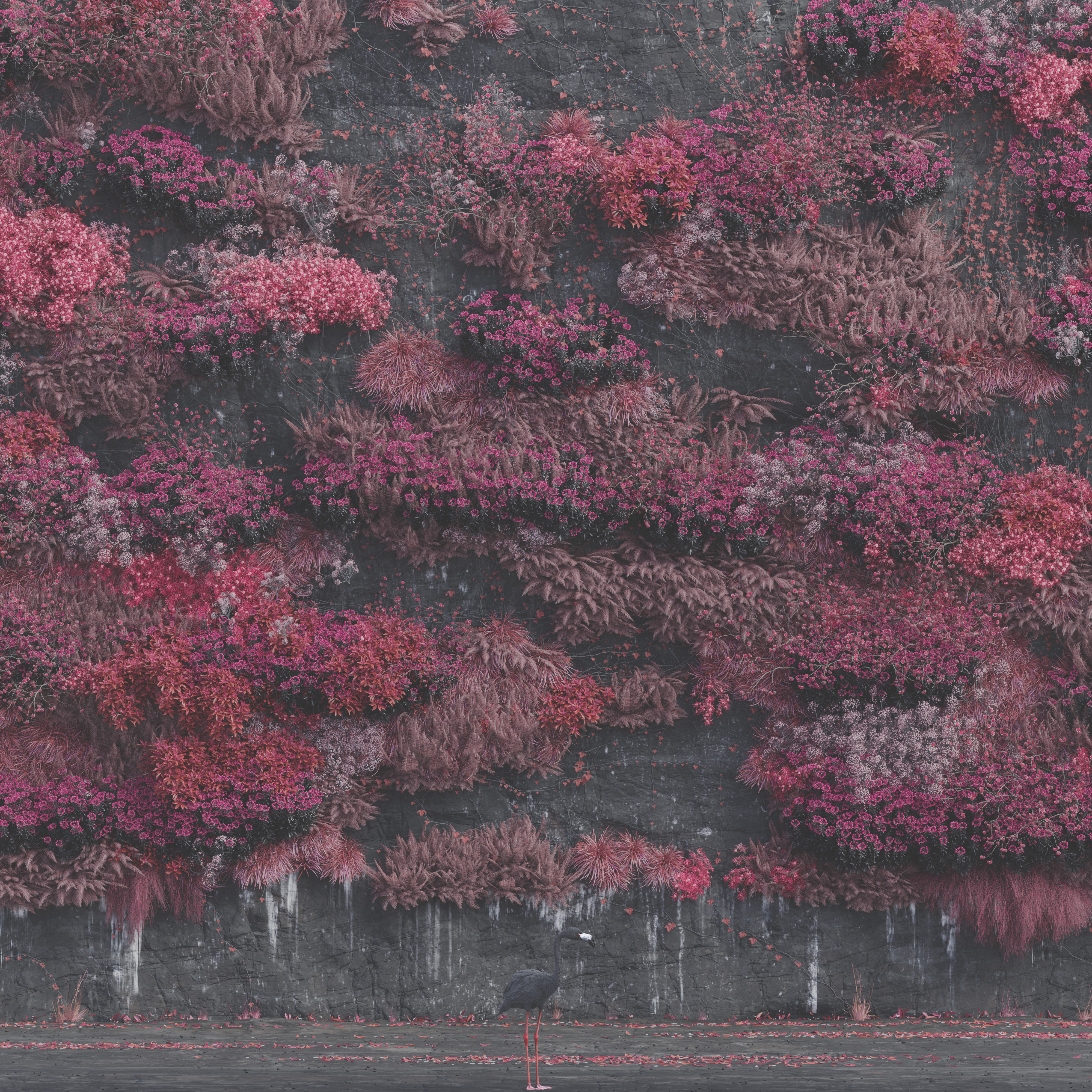 ALBUM REVIEW: Sleep Token – Even in Arcadia